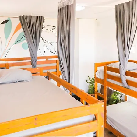 Ocean Nomads Coworking Hostel *