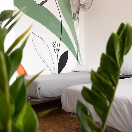 Ocean Nomads Coworking Tenerife * 아로나