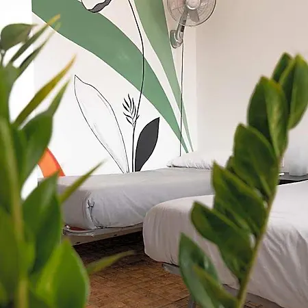 Ocean Nomads Coworking Tenerife Хостел