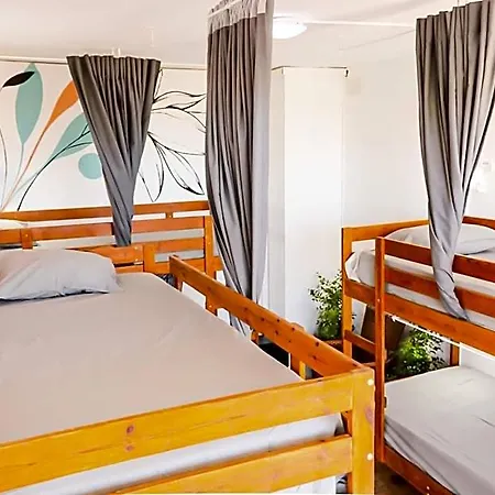 Ocean Nomads Coworking Tenerife * Арона
