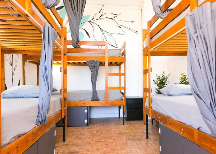 Ocean Nomads Coworking Tenerife Hostel Arona
