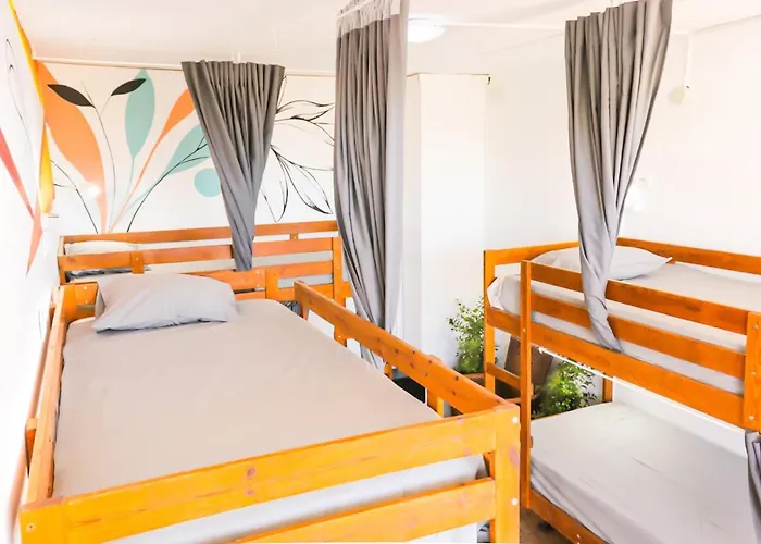 Ocean Nomads Coworking Tenerife אכסניה *