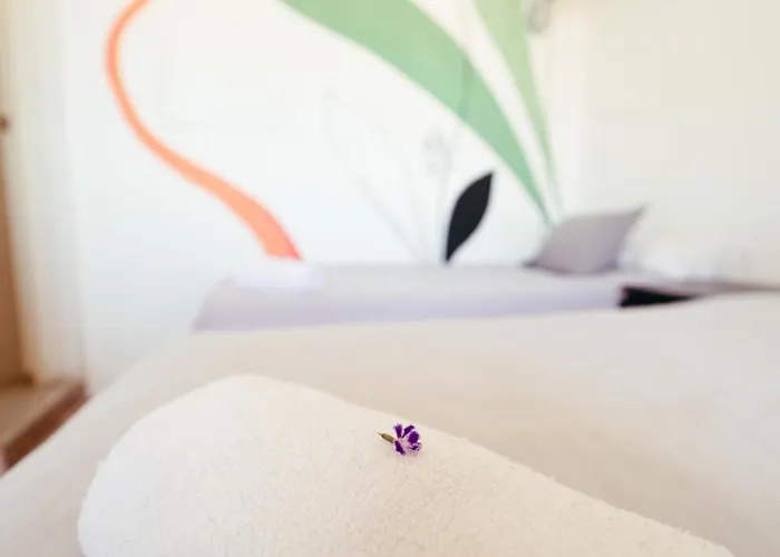 Ocean Nomads Coworking Tenerife Albergue Arona (Tenerife)